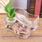 Glass Rectangle Vase Clear (10*10*30 S Shape)